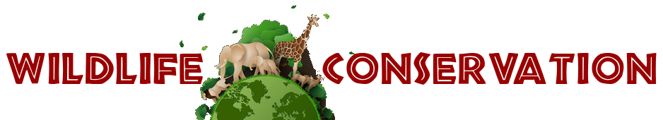 Conservation Africa News Portal